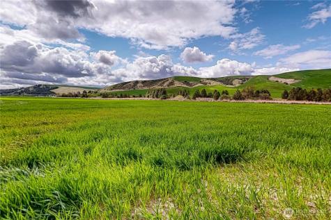 633 Lower Hogeye Road Waitsburg WA 99361