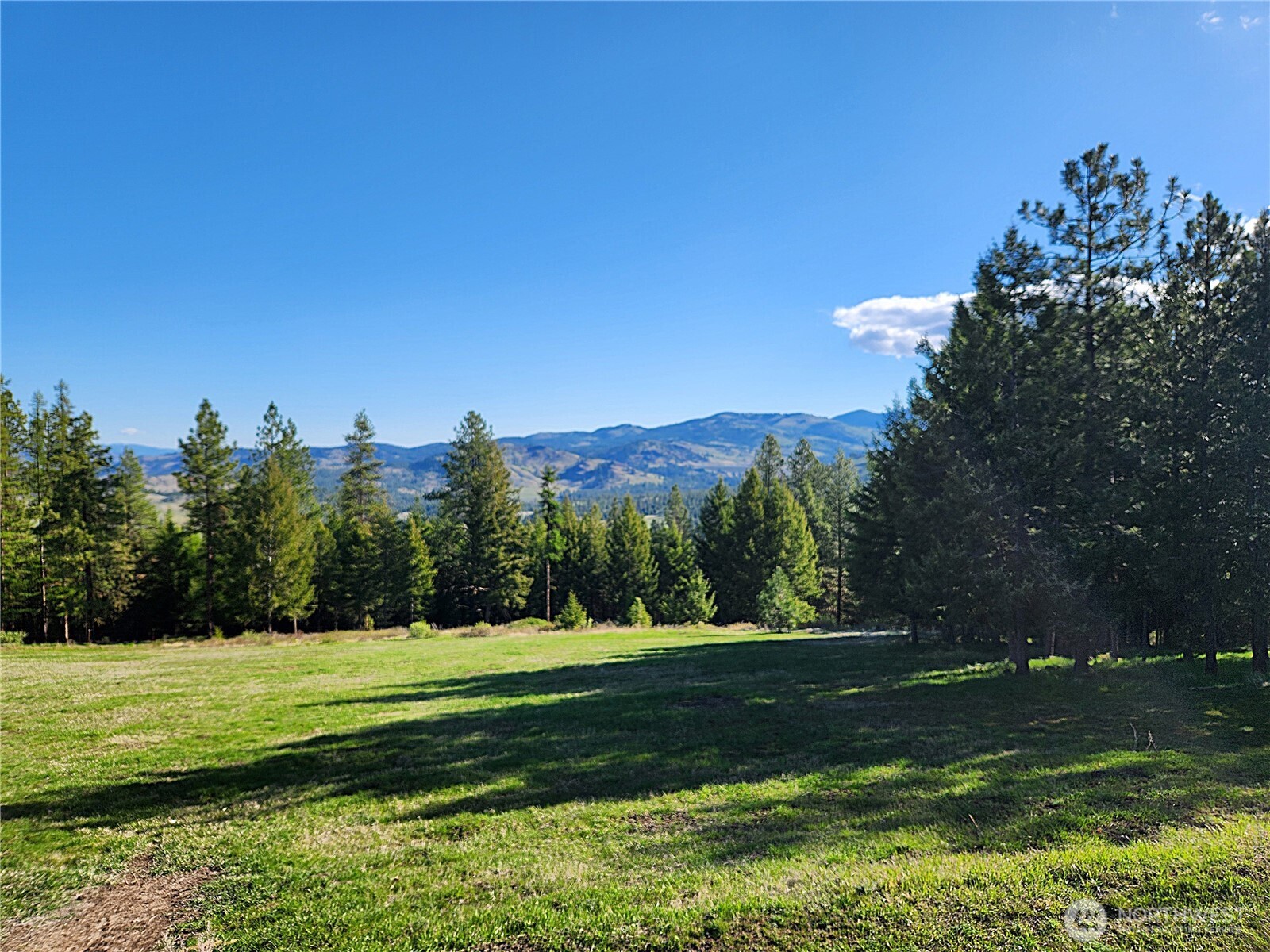 83 Burbank Place Republic WA 99166