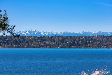 903 Shoreland Drive SE Bellevue WA 98004