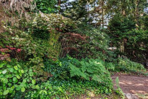 4218 192nd Place SW Lynnwood WA 98036