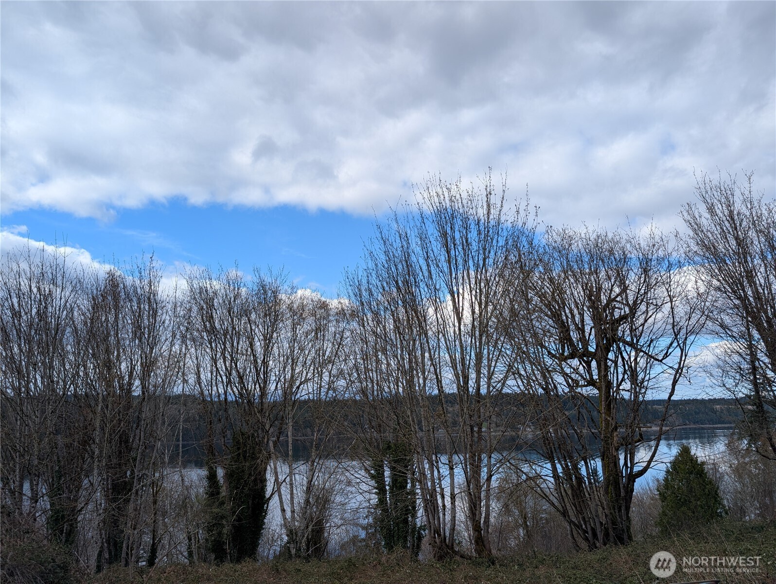 51 E Seamount Way Shelton WA 98584