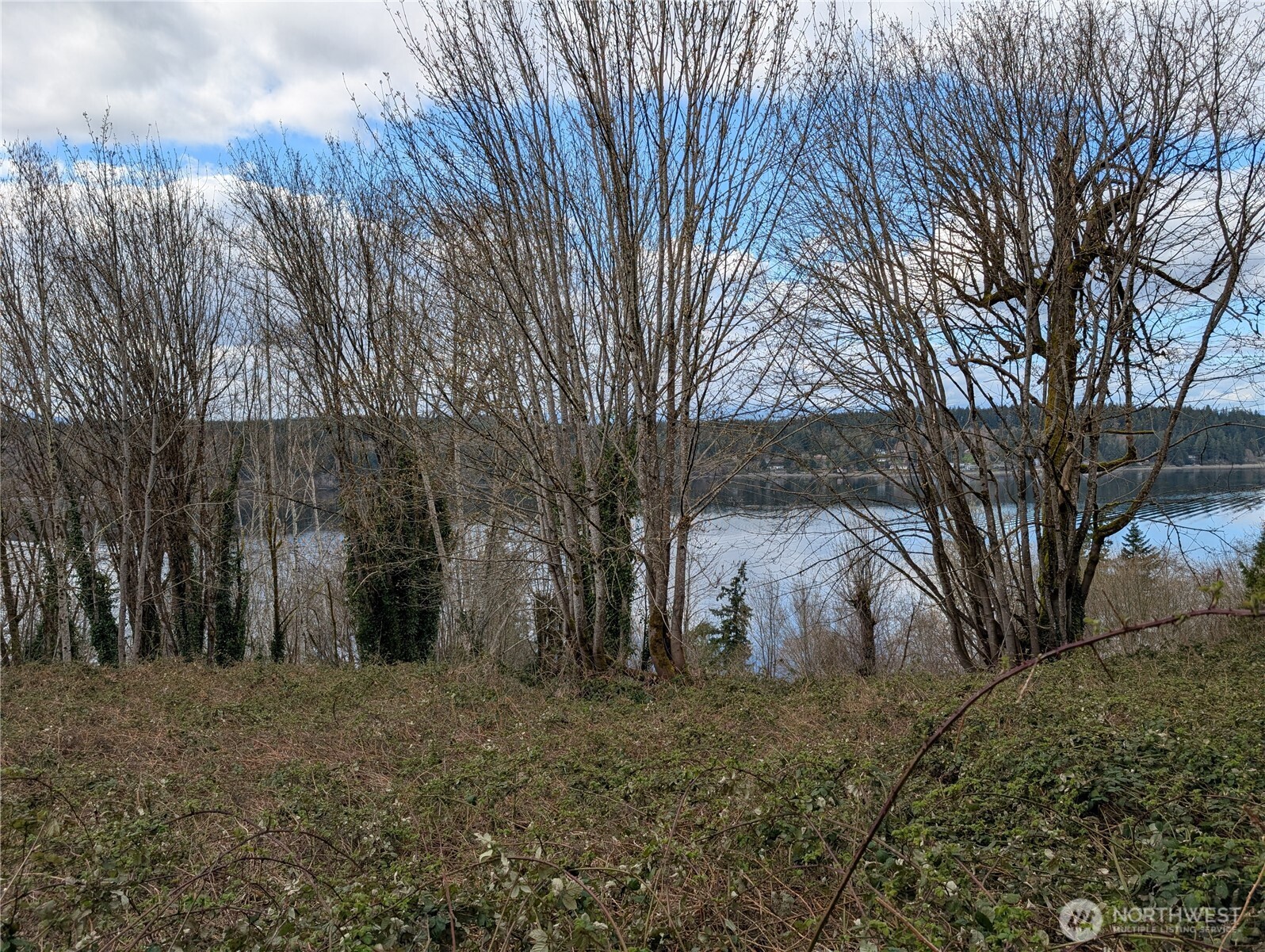 51 E Seamount Way Shelton WA 98584