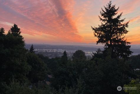 10032 Occidental Seattle WA 98168