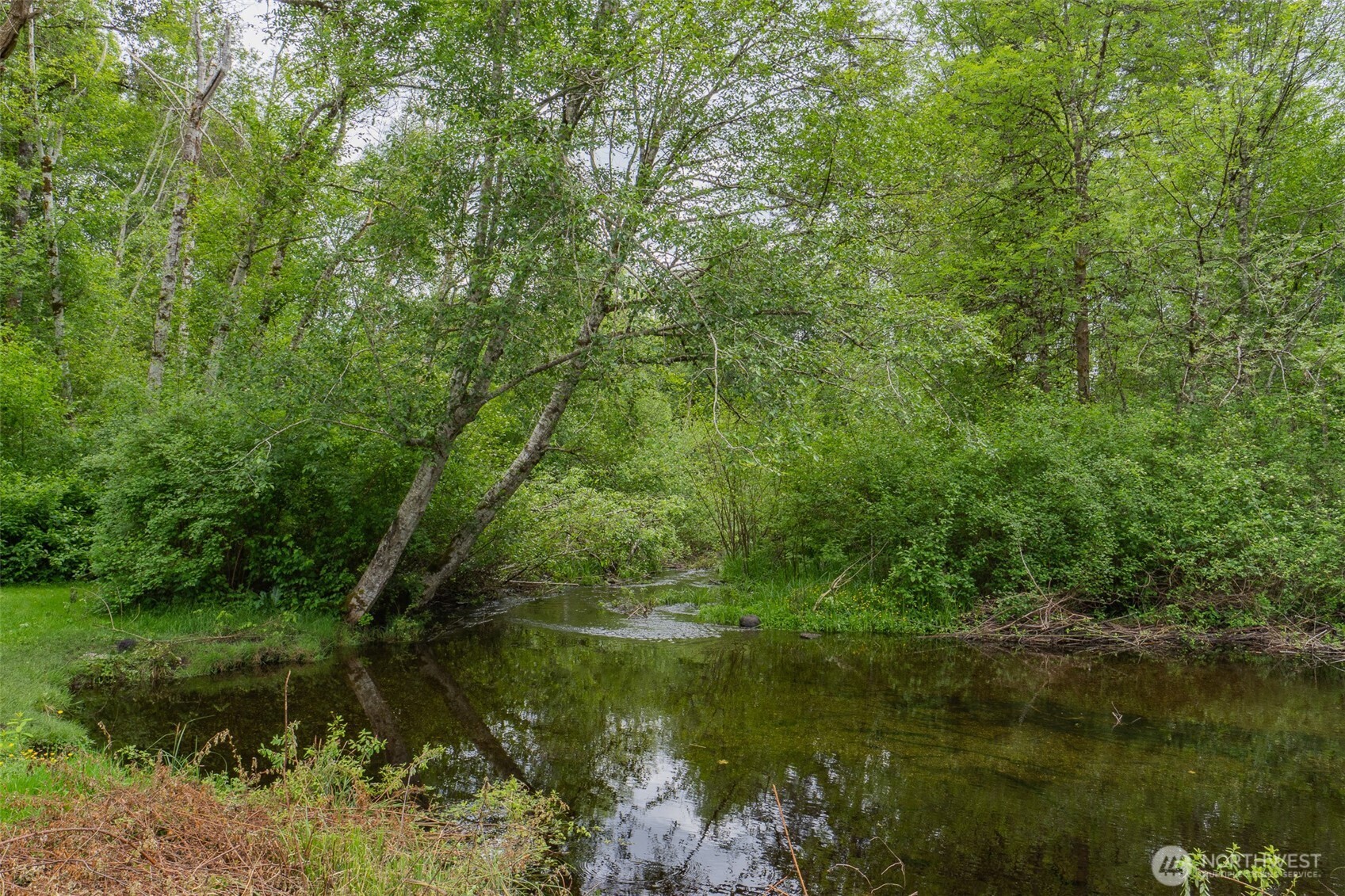 20 E Larch Place Shelton WA 98584