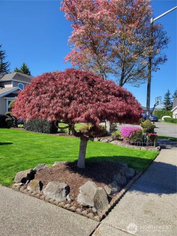 3120 Chelsea Lane Enumclaw WA 98022