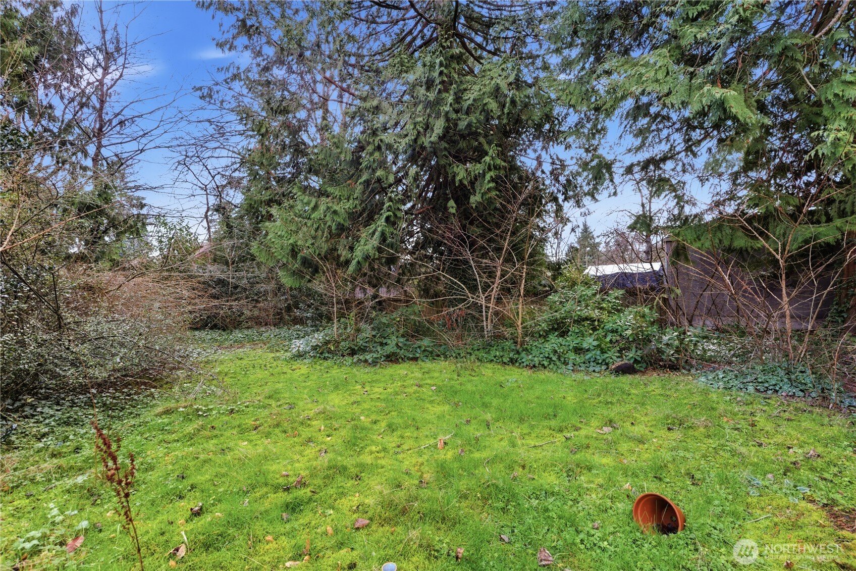 11716 16th Avenue NE Seattle WA 98125