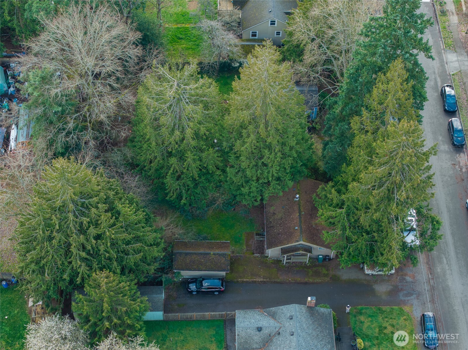 11716 16th Avenue NE Seattle WA 98125