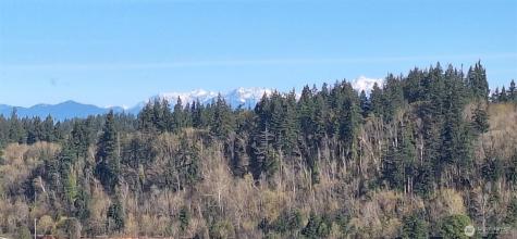 1106 Fairmount Avenue Shelton WA 98584