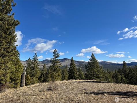 79 Bench Creek Road Tonasket WA 98855