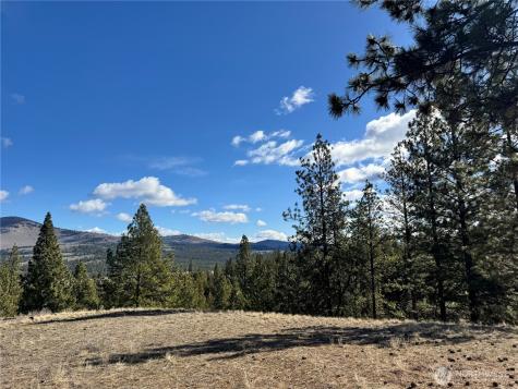 79 Bench Creek Road Tonasket WA 98855