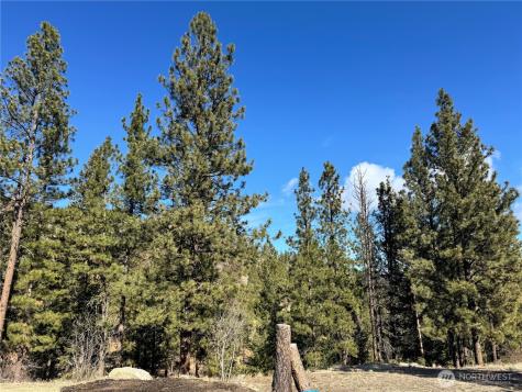 79 Bench Creek Road Tonasket WA 98855
