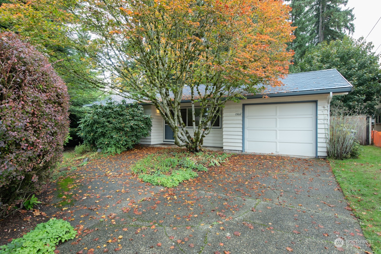 1502 165th Avenue Ne Bellevue WA 98008