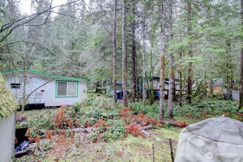 96 Sunset Circle Deming WA 98244