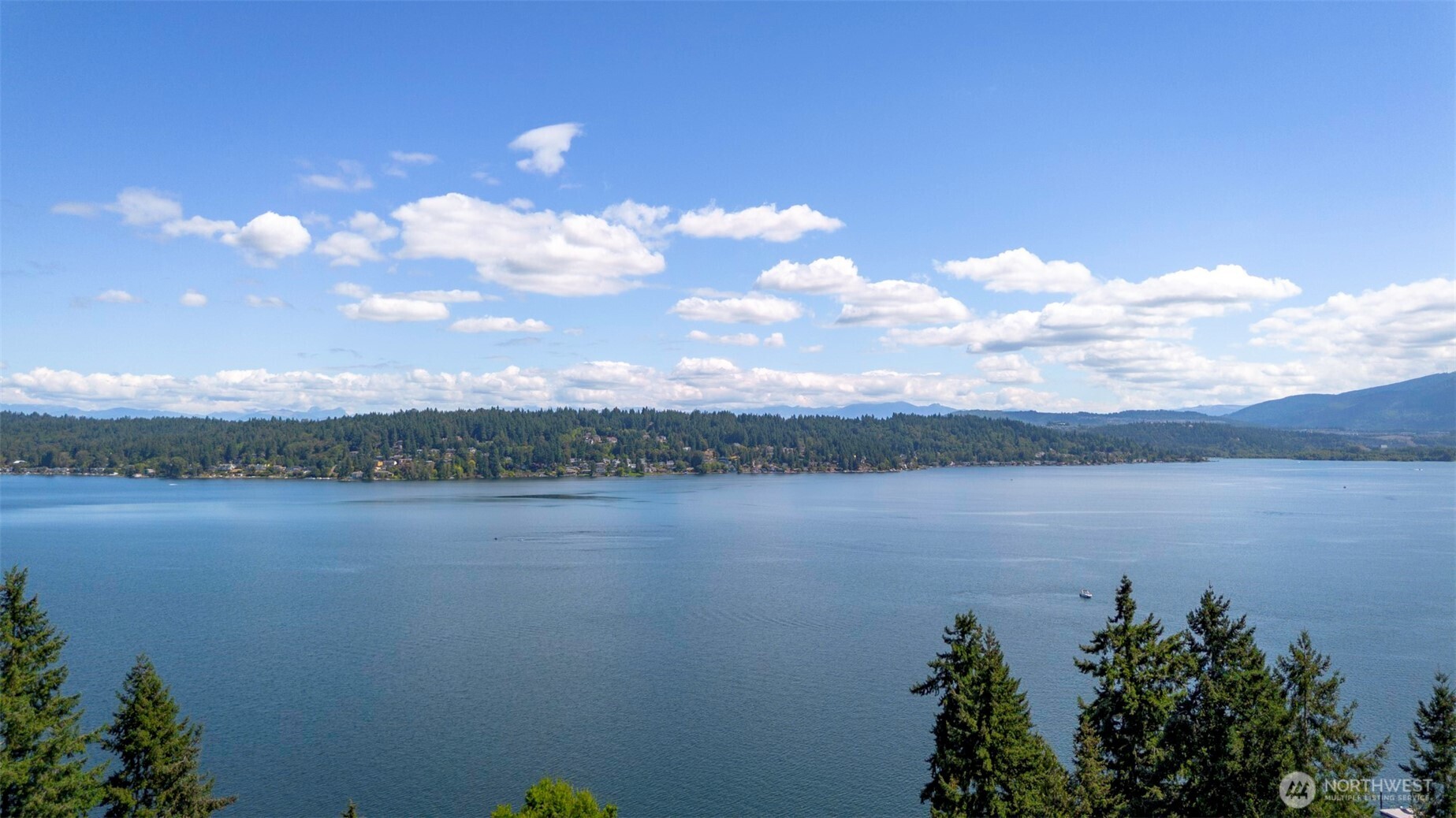 2500 171st Avenue SE Bellevue WA 98008