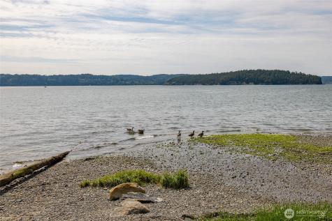 17238 Maple Lane La Conner WA 98257