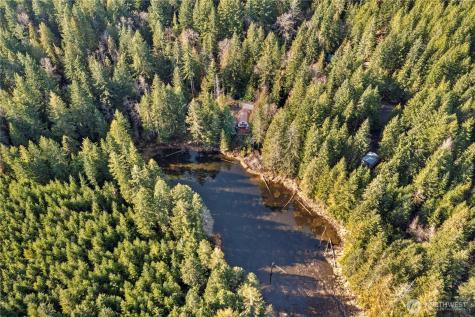 941 N Potlatch Drive Hoodsport WA 98548