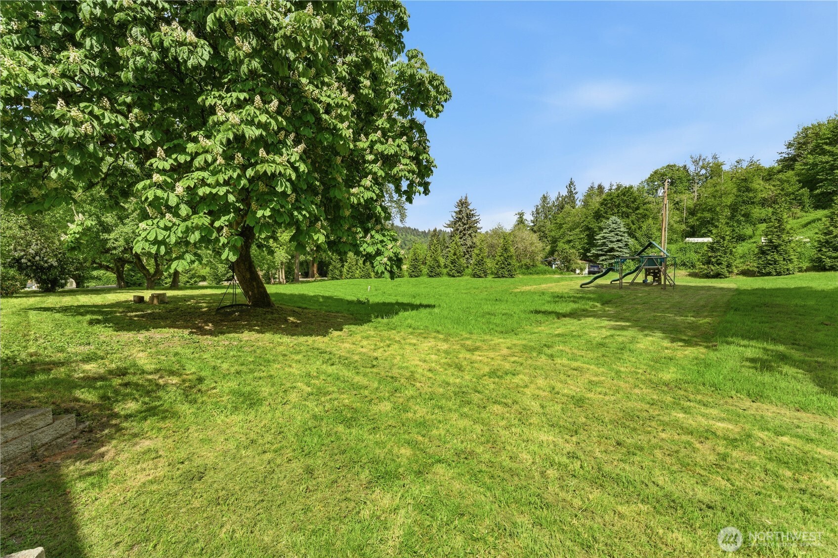 20015 NE 50th Street Redmond WA 98053