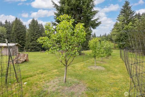 23098 Meadow View Lane Sedro Woolley WA 98284