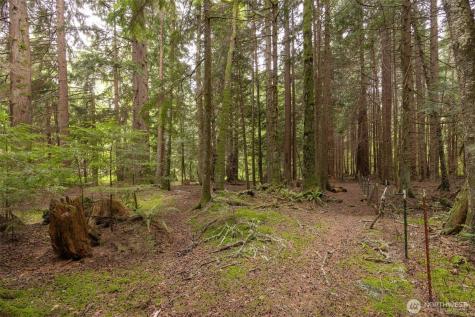 23098 Meadow View Lane Sedro Woolley WA 98284