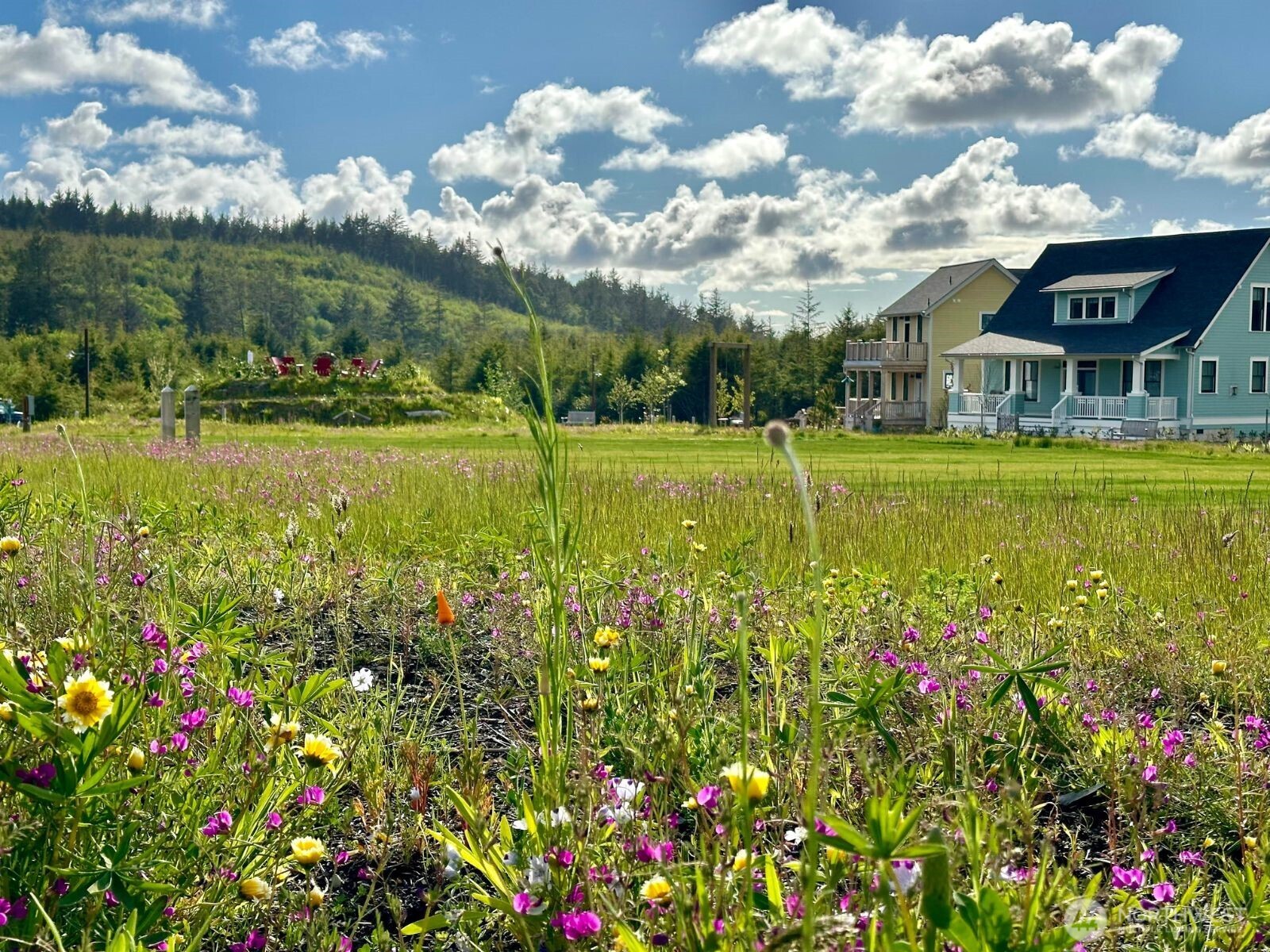 40 Bungalow Loop Pacific Beach WA 98571
