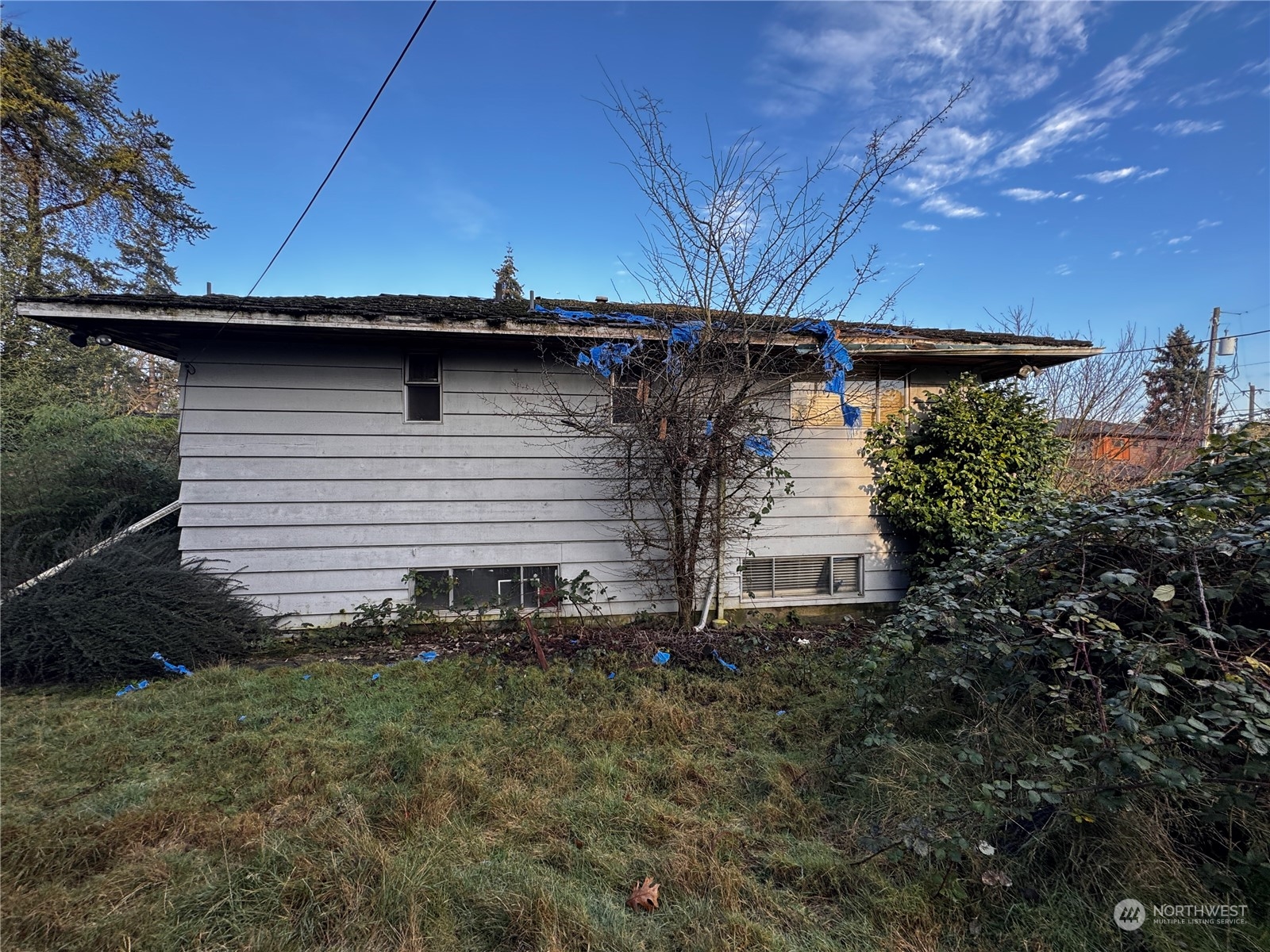 2105 38th Avenue E Seattle WA 98112