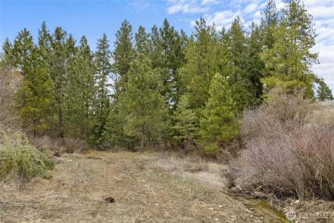 131 Casassa Road Cle Elum WA 98922