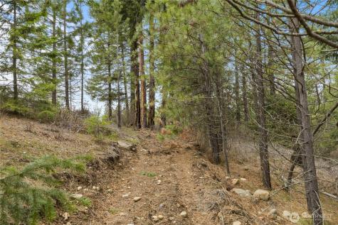 131 Casassa Road Cle Elum WA 98922