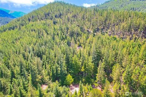 32750 343rd Avenue SE Ravensdale WA 98051