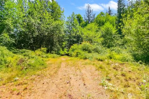 32750 343rd Avenue SE Ravensdale WA 98051