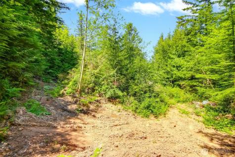 32750 343rd Avenue SE Ravensdale WA 98051