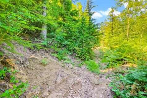 32750 343rd Avenue SE Ravensdale WA 98051