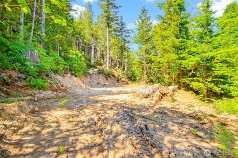 32750 343rd Avenue SE Ravensdale WA 98051