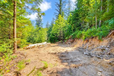 32750 343rd Avenue SE Ravensdale WA 98051