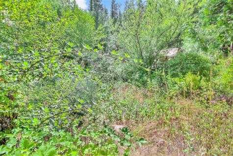32750 343rd Avenue SE Ravensdale WA 98051