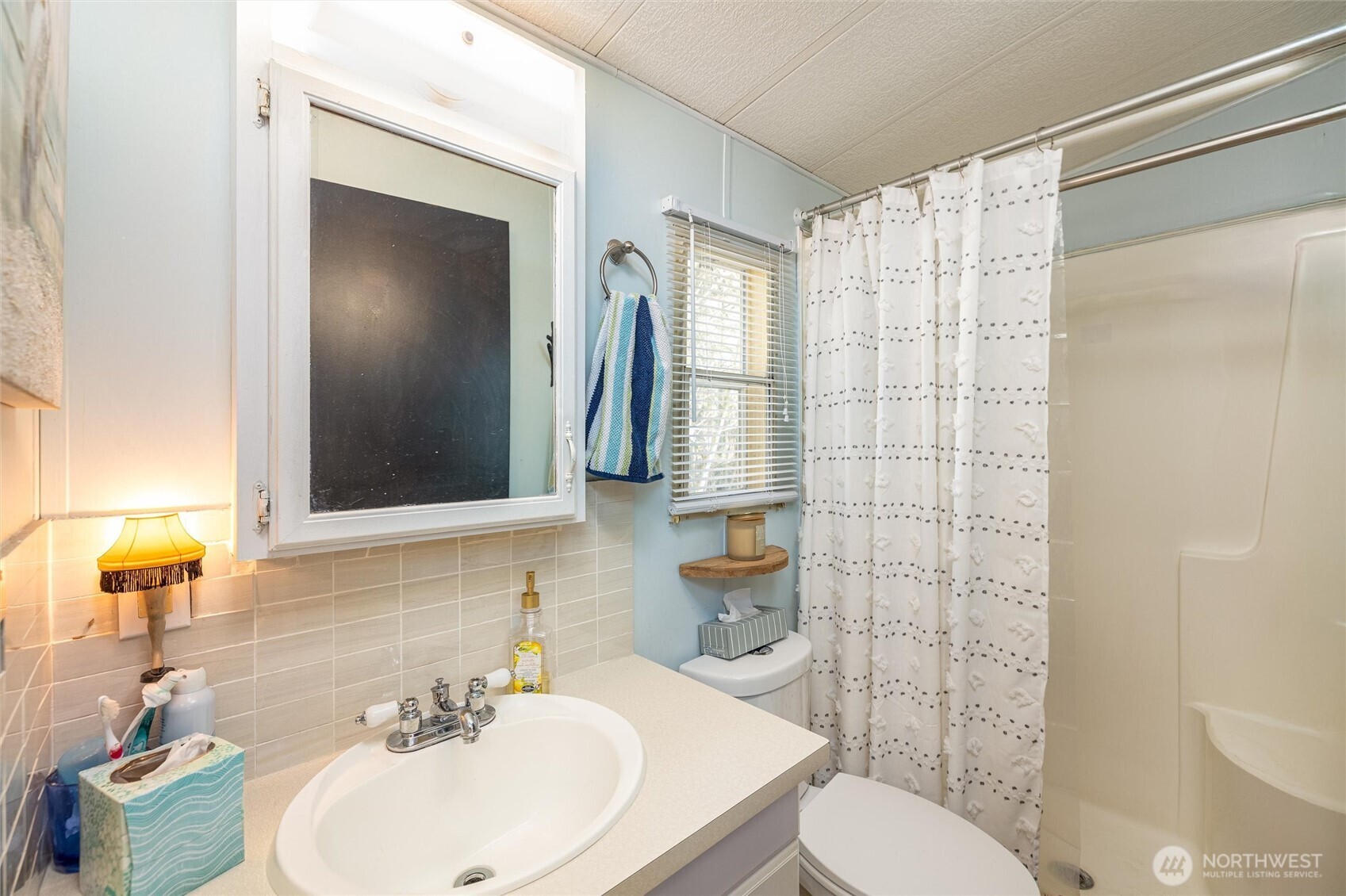 1075 Birch Lane Sumas WA 98295