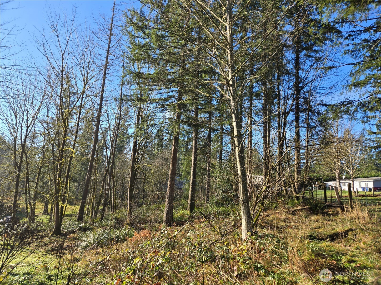 29445 SE 371st Street Enumclaw WA 98022