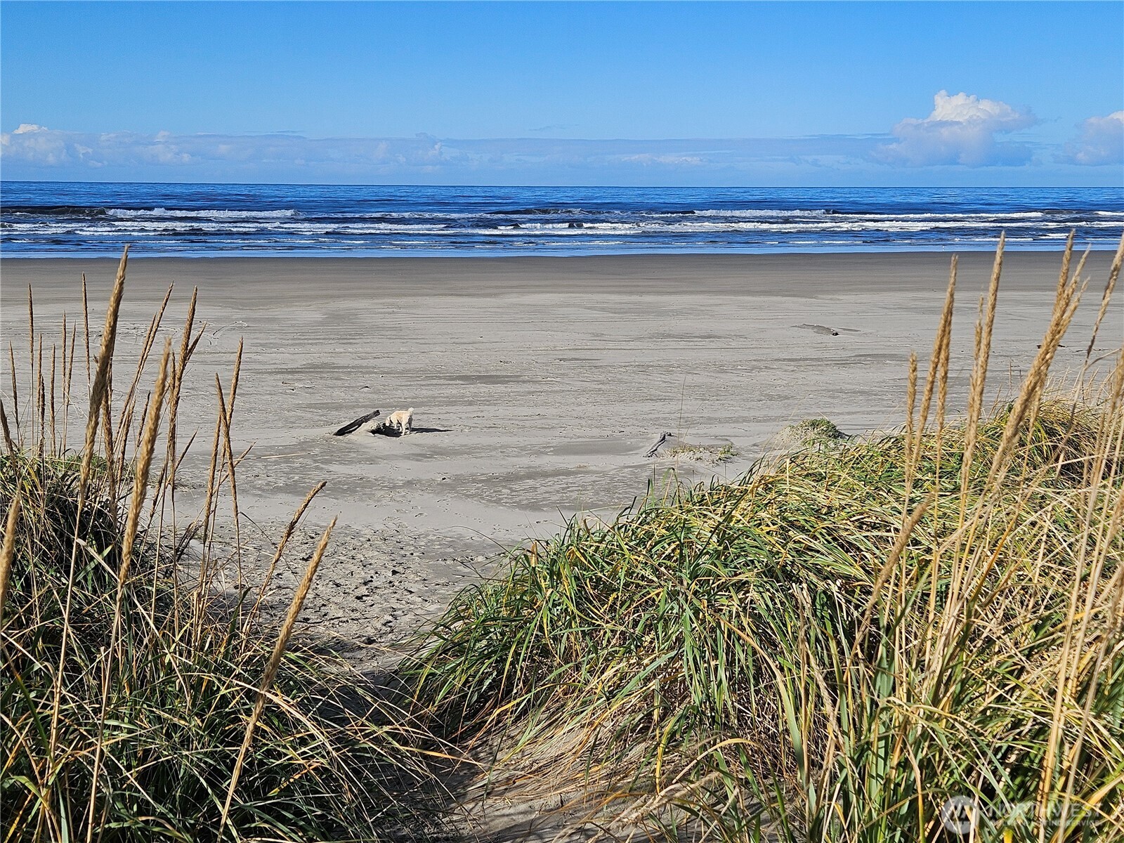 30311 U Place Ocean Park WA 98640