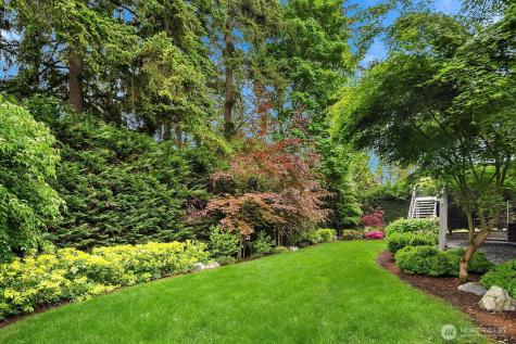 1646 106th Avenue SE Bellevue WA 98004