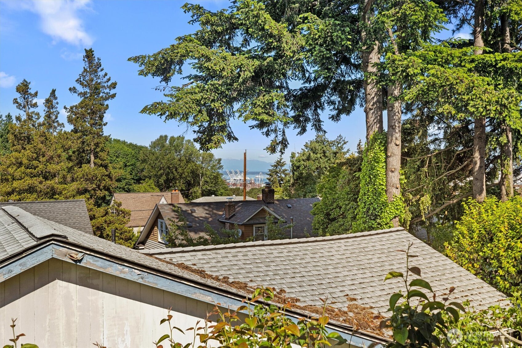 3443 16th Avenue S Seattle WA 98144