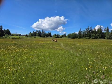 221 Baker View Lane Camano Island WA 98282