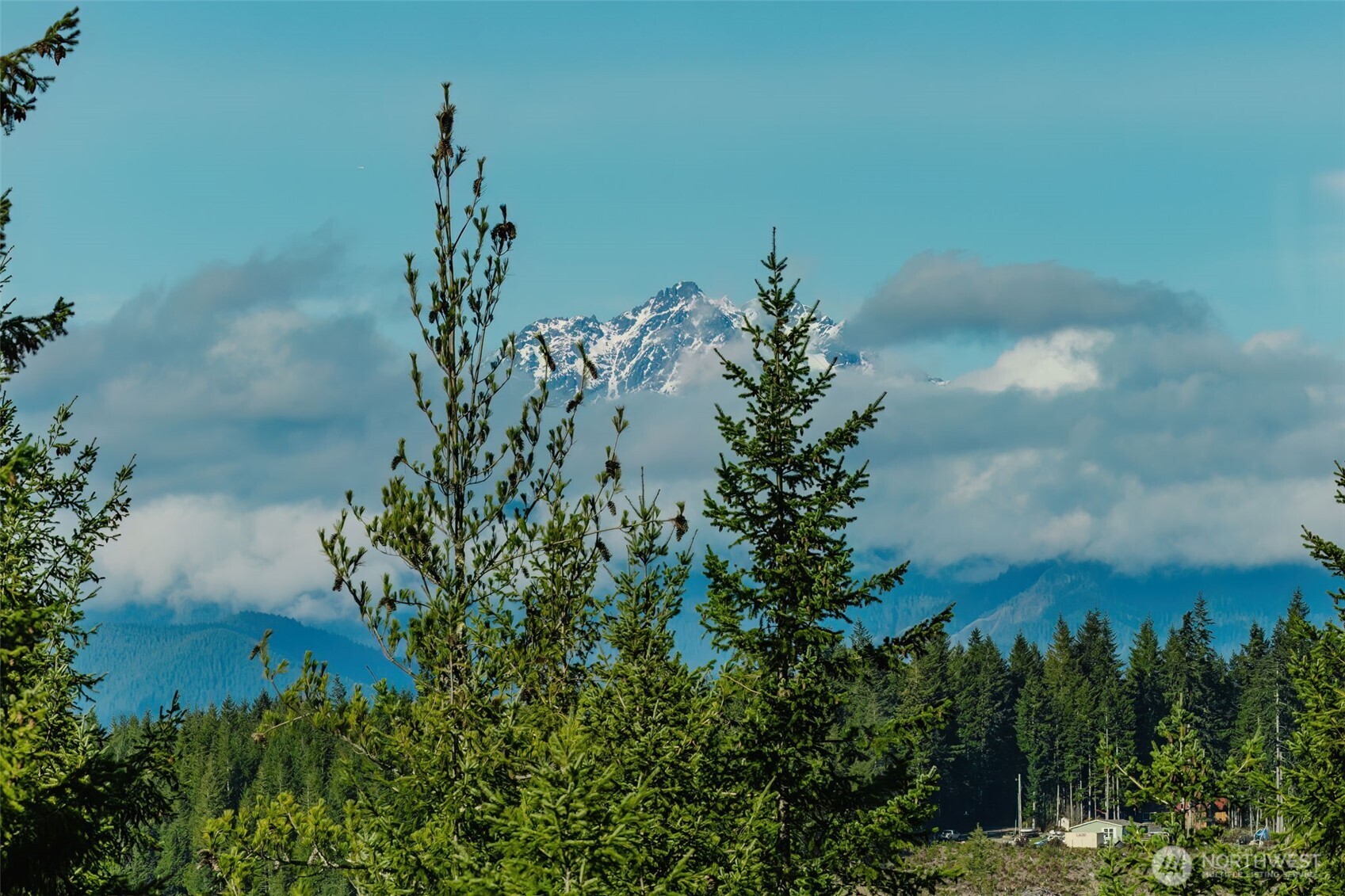 62 NE Southridge Drive Belfair WA 98528