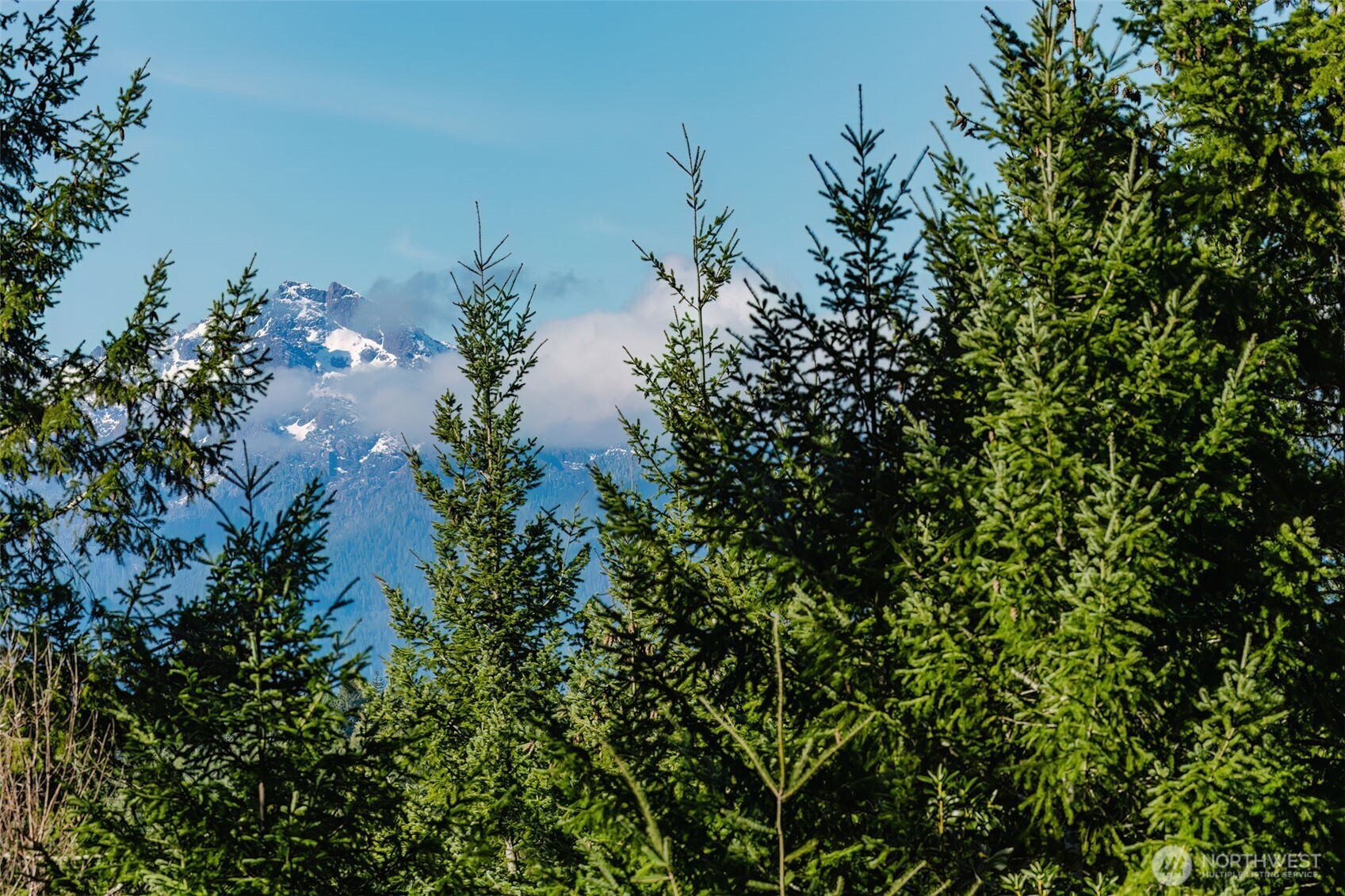 62 NE Southridge Drive Belfair WA 98528