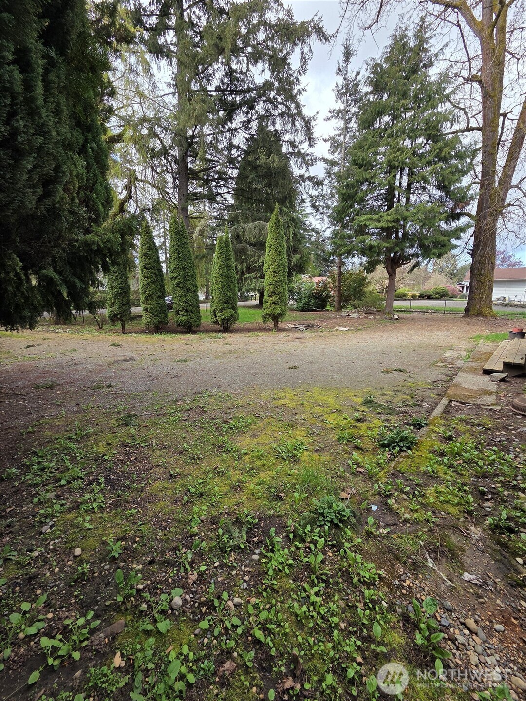 1207 E 121st Street Tacoma WA 98445
