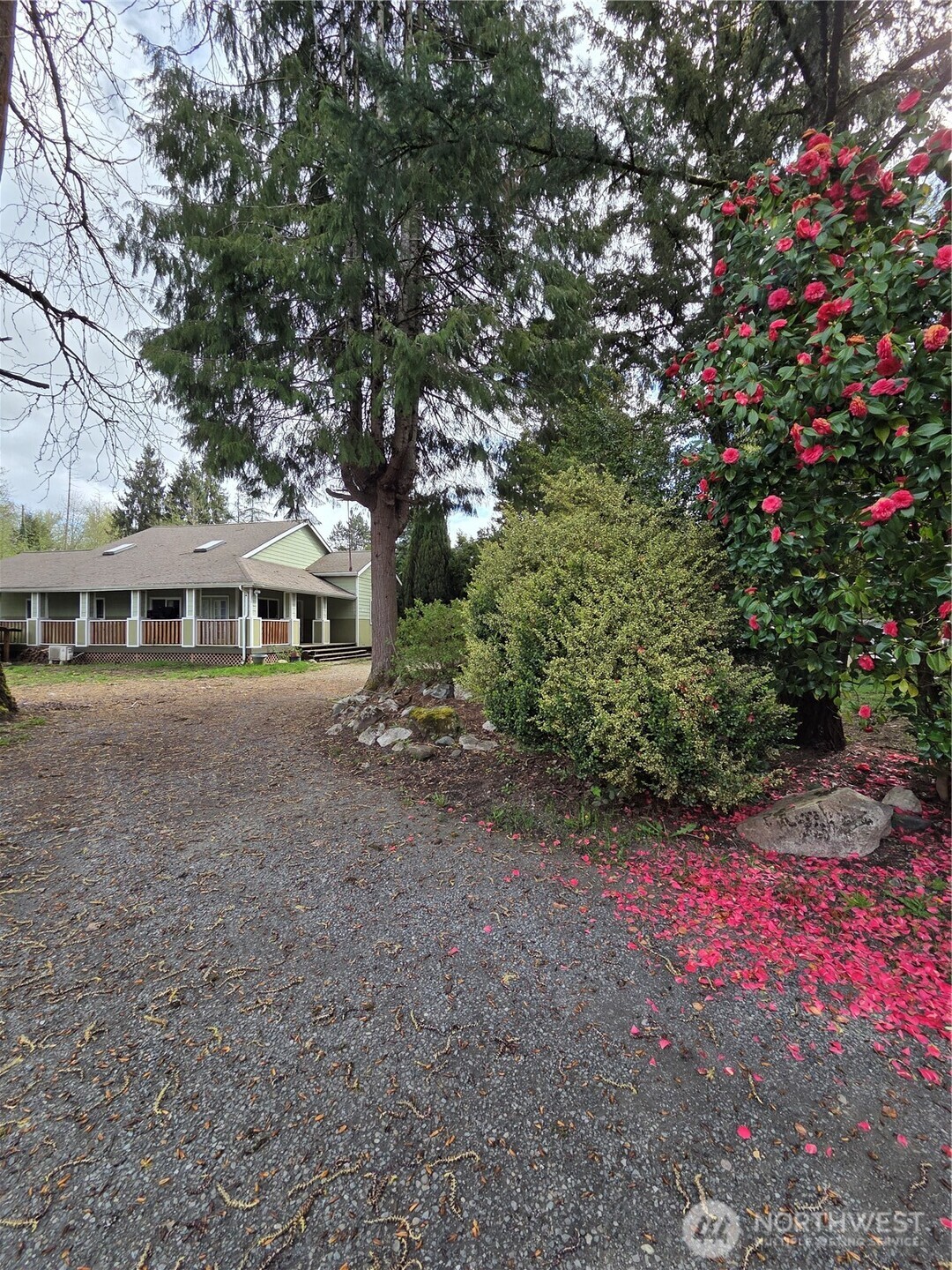 1207 E 121st Street Tacoma WA 98445