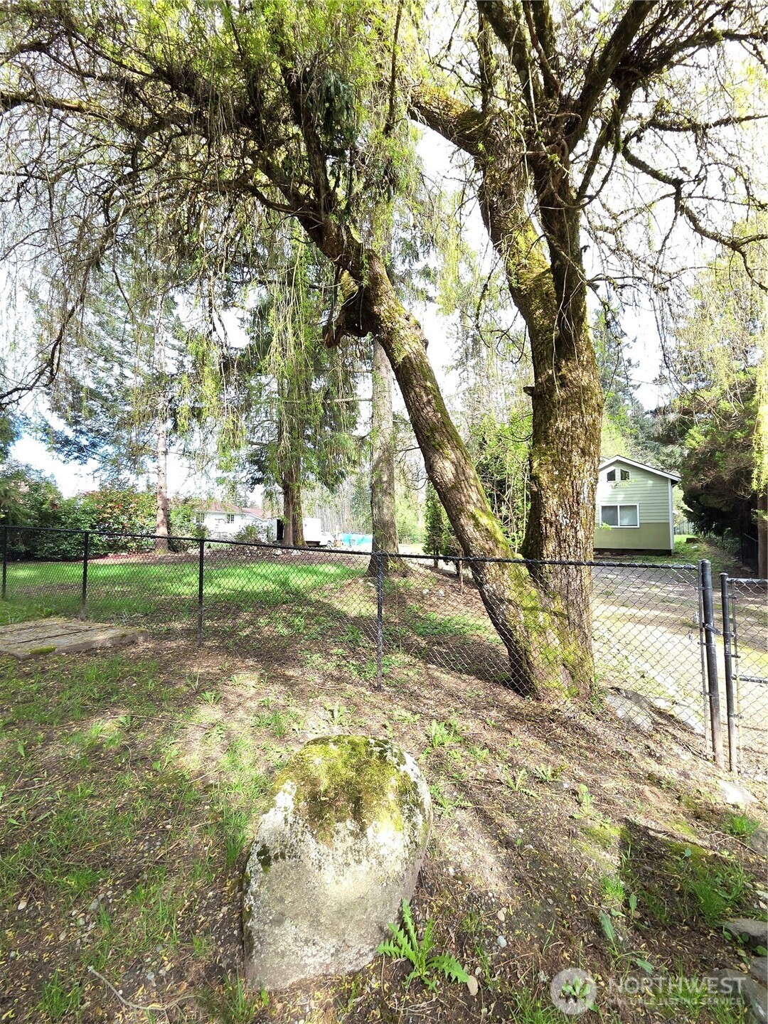 1207 E 121st Street Tacoma WA 98445