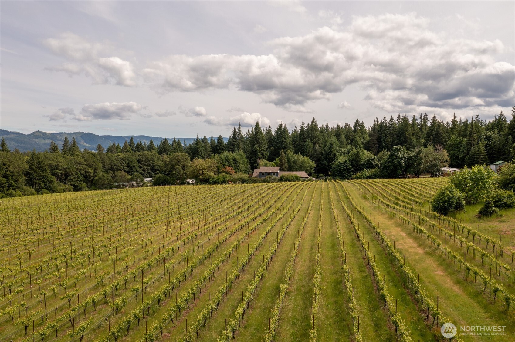 391 Newell Road Underwood WA 98651