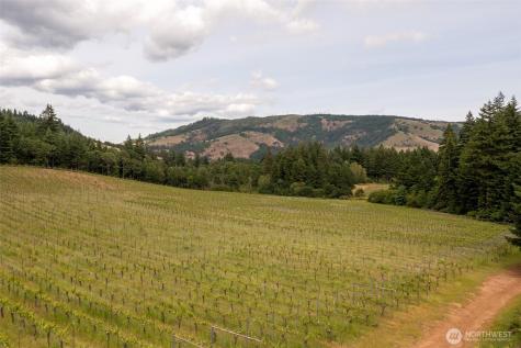 391 Newell Road Underwood WA 98651