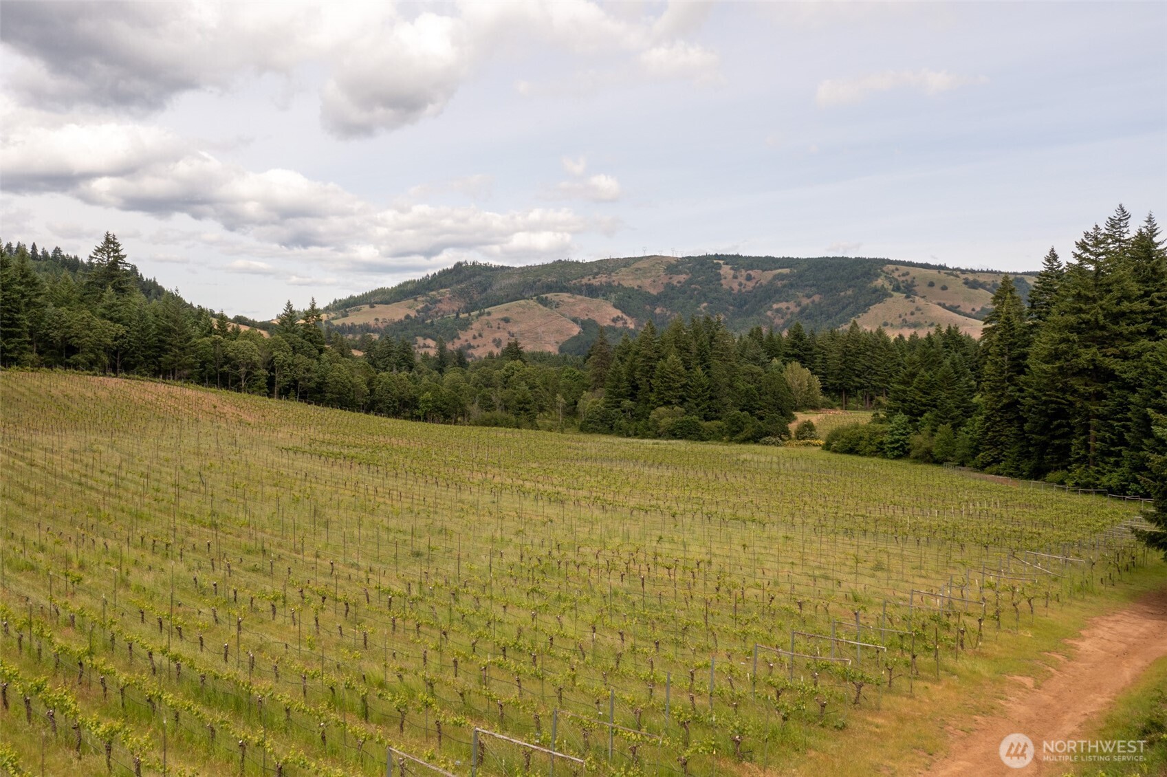 391 Newell Road Underwood WA 98651