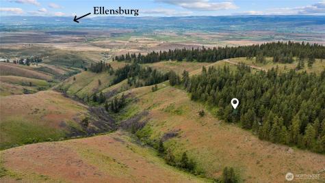 3671 W Sun East Road Ellensburg WA 98926