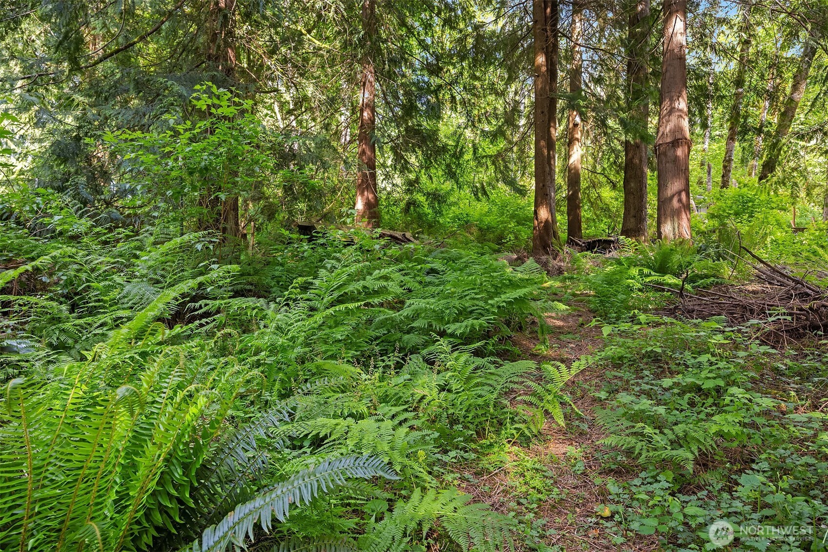 2711 S Lake Roesiger Road Snohomish WA 98290